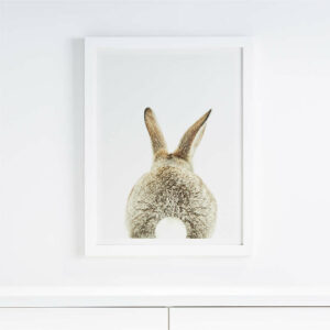 Framed Wall Art Bunny Tail